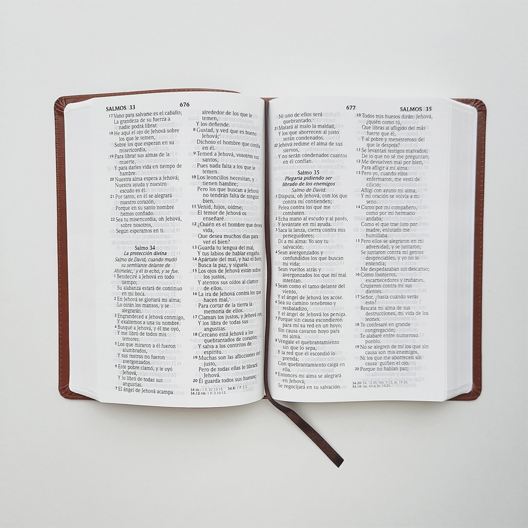 Biblia Manual Letra Grande 5 Biblia Manual Letra Grande - Image 5
