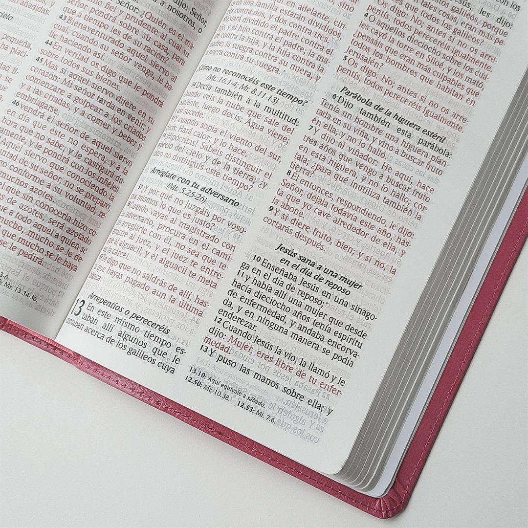 Biblia Manual Letra Grande 6 Biblia Manual Letra Grande - Image 6