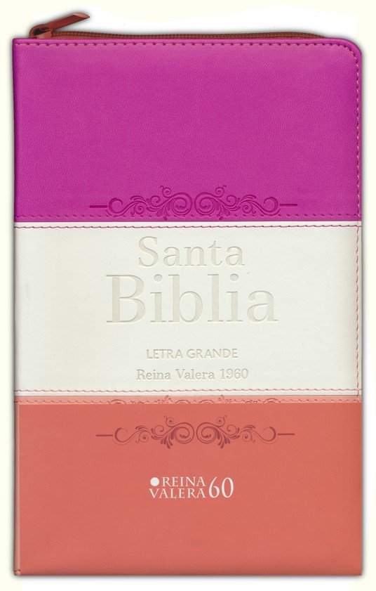 Biblia RVR 1960 Letra Grande Tamaño Manual Tricolor Guinda Crema Melón con Cierre con Índice 1 Biblia RVR 1960 Letra Grande Tamaño Manual Tricolor Guinda Crema Melón con Cierre con Índice