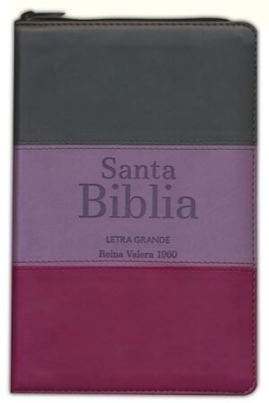 Biblia RVR60 LG Tamaño Manual con cierre con índice