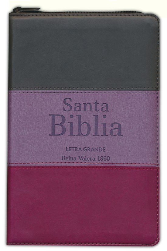 Biblia RVR60 LG Tamaño Manual con cierre con índice 1 Biblia RVR60 LG Tamaño Manual con cierre con índice