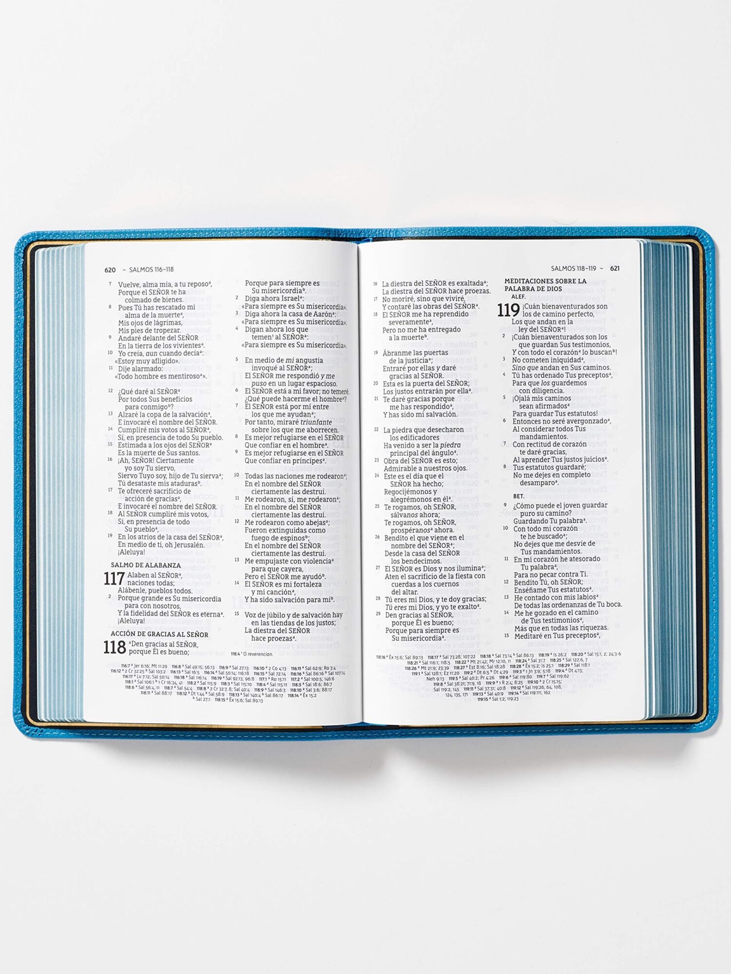 NBLA Biblia Ultrafina Azul; Letra Grande, Colección Premier: Edición Limitada 4 NBLA Biblia Ultrafina Azul; Letra Grande, Colección Premier: Edición Limitada - Image 4