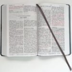 Biblia RVR 1960 León Rey de Reyes – Letra Grande Tapa Dura – imagen 5