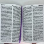 Biblia RVR60/024ti/PJR/Palabras De Vida/Amor Lila – imagen 2