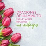 Oraciones de un minuto para cuando necesitas un milagro