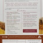 NVI Biblia de estudio Arqueológica
