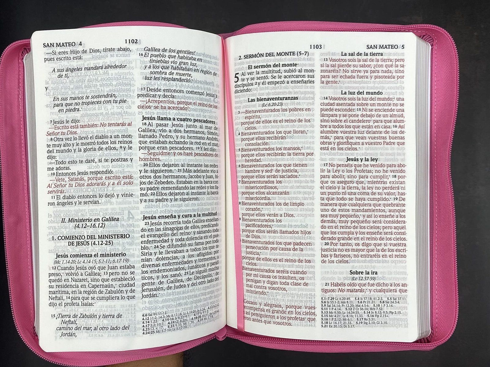 Biblia LG 12 puntos RV2020 imit. piel rosado 5 Biblia LG 12 puntos RV2020 imit. piel rosado - Image 5