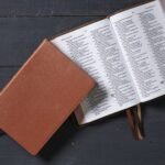 Biblia Reina Valera 1960 Colección Premier – imagen 2