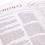 RV60 Biblia de Estudio para Mujeres Tela Verde/BH – imagen 5