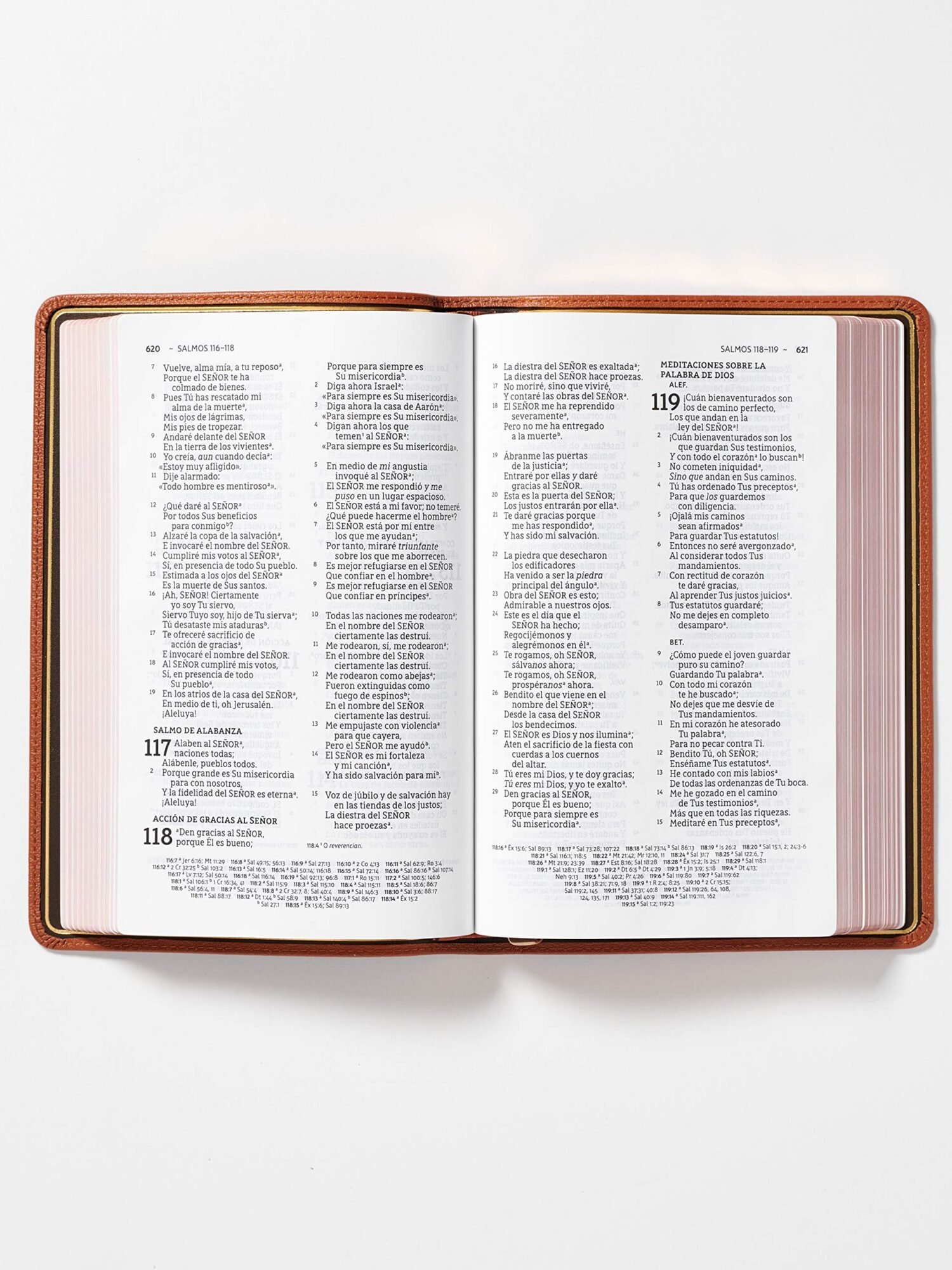 NBLA BIBL ULTRA PREMIER COLEC 3 NBLA BIBL ULTRA PREMIER COLEC - Image 3