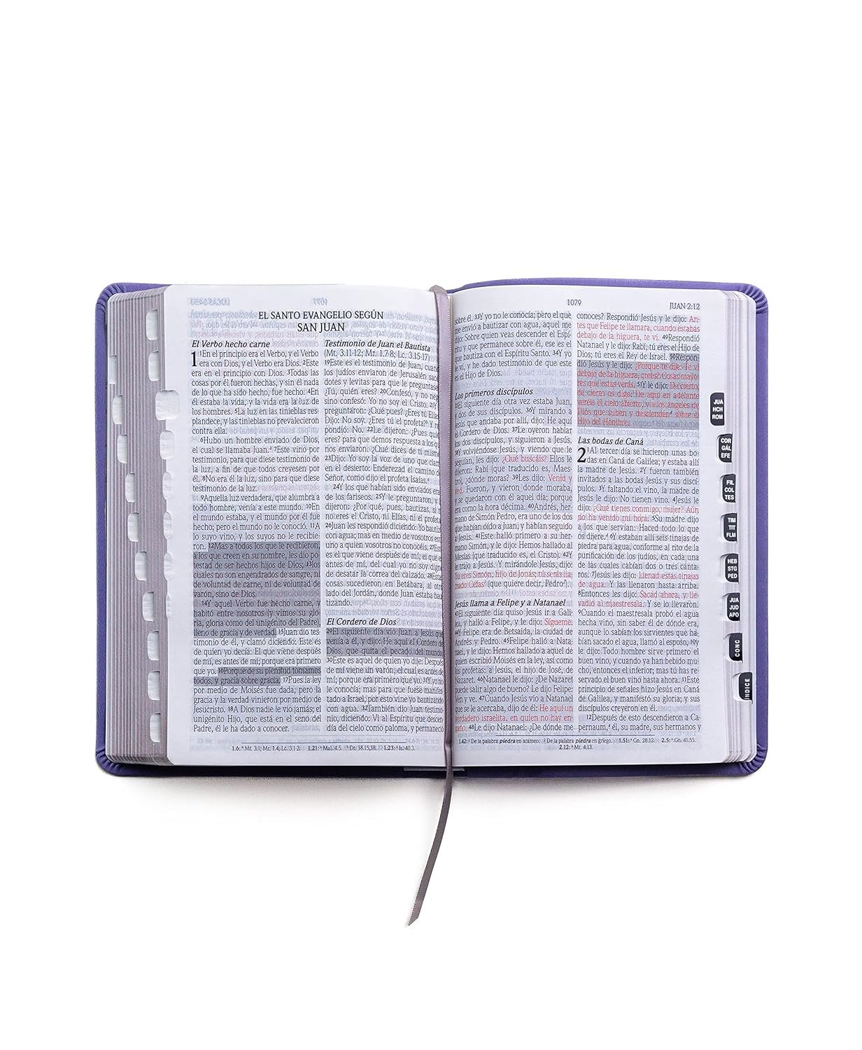 Biblia/RVR60/Promesas / Manual / Lavanda 2 Biblia/RVR60/Promesas / Manual / Lavanda - Image 2
