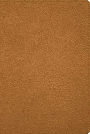 RVR 1960 Deluxe Piel caramelo