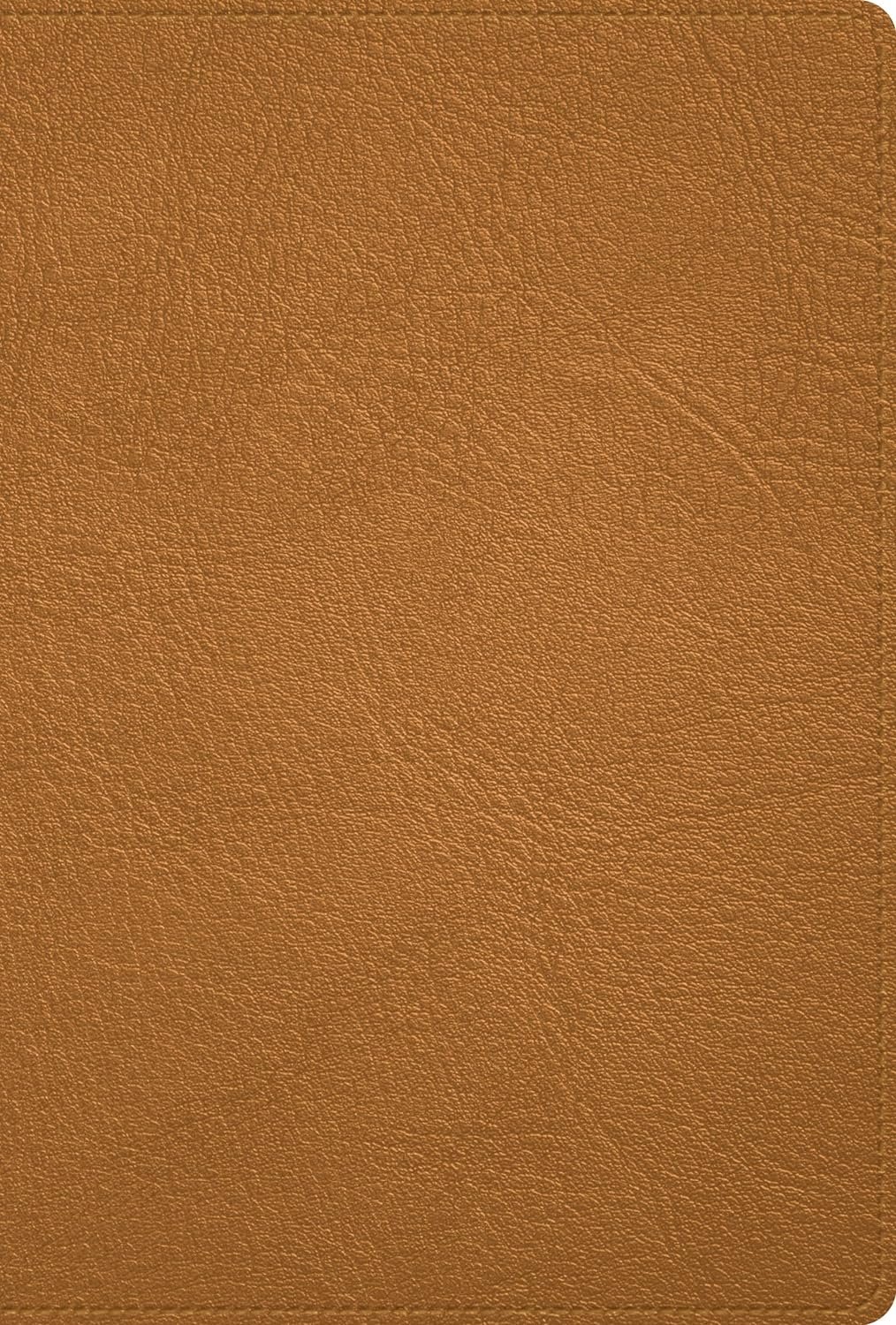 Biblia RVR60 Deluxe Piel Genuina Caramelo 1 RVR 1960 Deluxe Piel caramelo