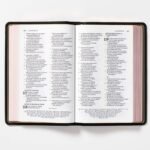 Biblia NBLA Ultrafina Letra Grande Colección Premier Negro – imagen 5