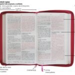 RV1960 Biblia /Letra Grande/Tamaño Manual/Fucsia Zipper – imagen 4