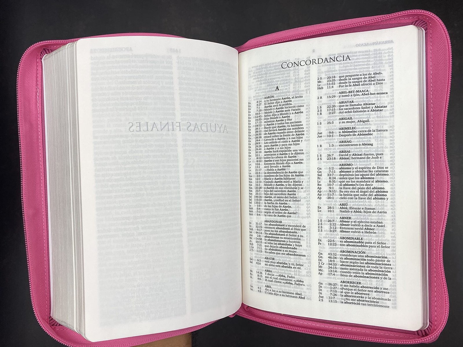 Biblia LG 12 puntos RV2020 imit. piel rosado 4 Biblia LG 12 puntos RV2020 imit. piel rosado - Image 4