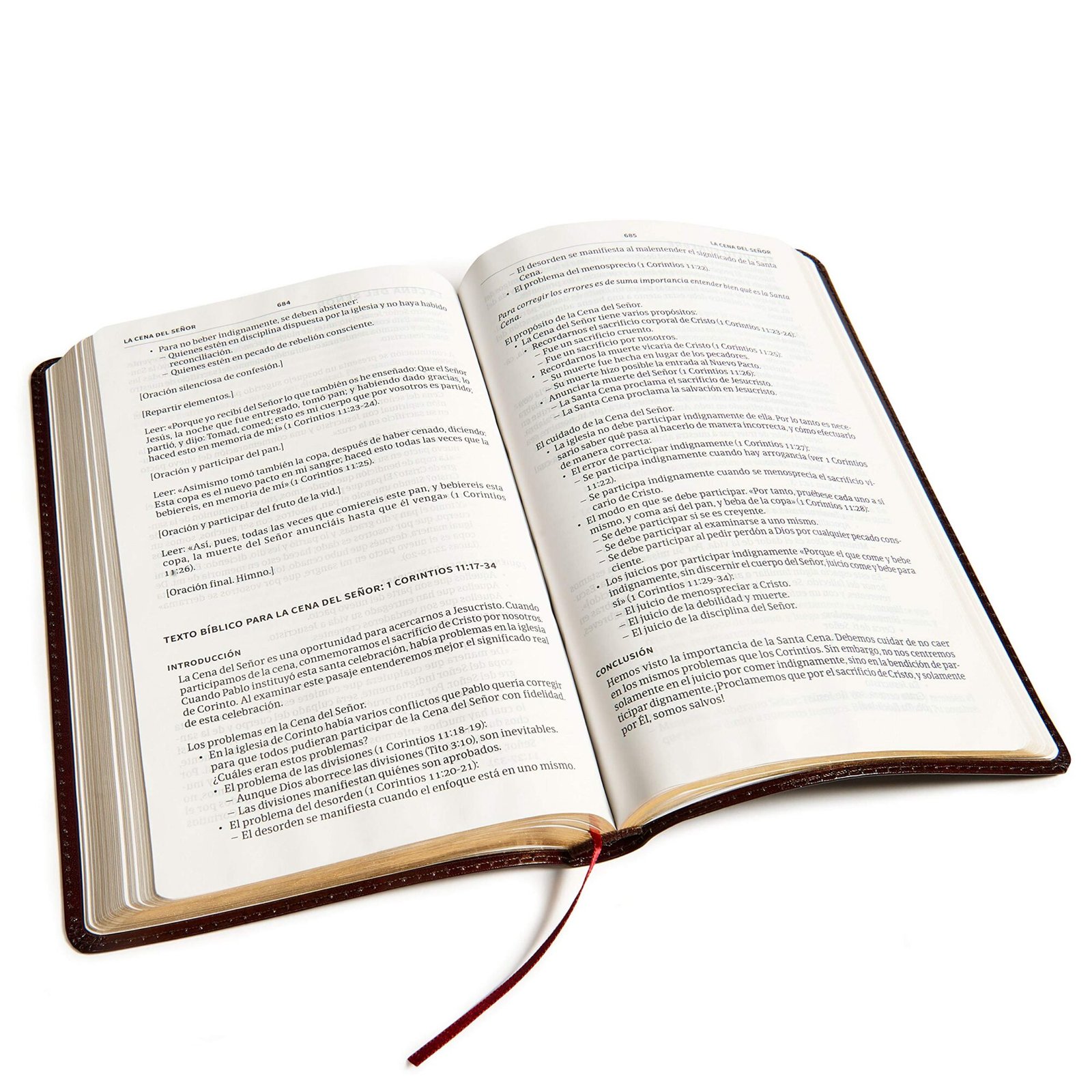 Biblia del Ministro Fina Piel Fabricada RVR60 3 Biblia del Ministro Fina Piel Fabricada RVR60 - Image 3