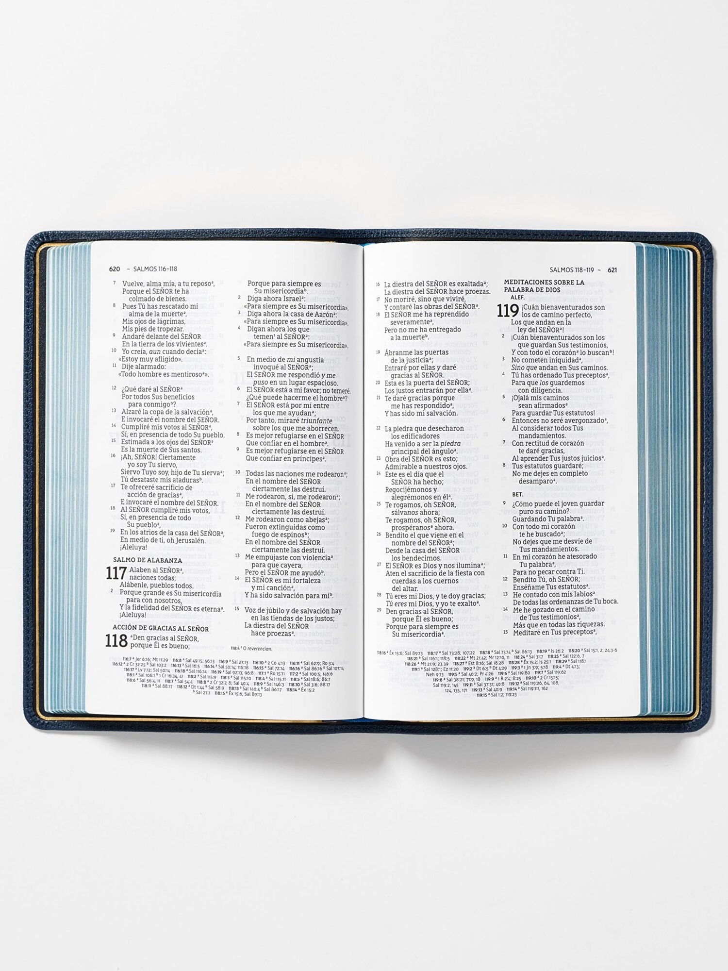 Biblia NBLA Letra Grande Azul Marino Piel Ultrafina Coleccion Premiere 2 Biblia NBLA Letra Grande Azul Marino Piel Ultrafina Coleccion Premiere - Image 2