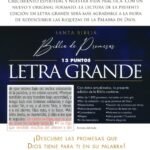 RV1960 Biblia de Promesas Letra Grande PU - Turquesa – imagen 4