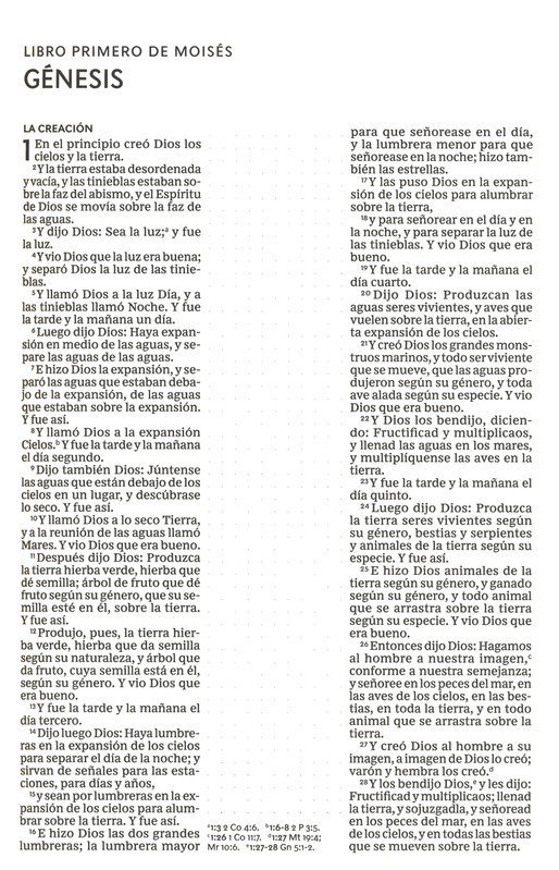 RVR60 Santa Biblia edc Artistica 4 RVR60 Santa Biblia edc Artistica - Image 4