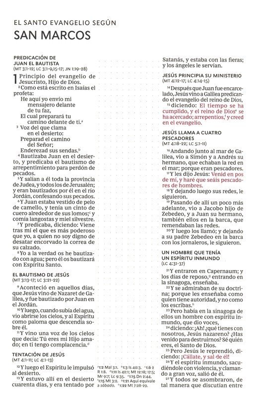 RVR60 Santa Biblia edc Artistica 5 RVR60 Santa Biblia edc Artistica - Image 5