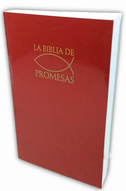 Biblia De Promesas Edición Económica Vino 2 Biblia De Promesas Edición Económica Vino - Image 2