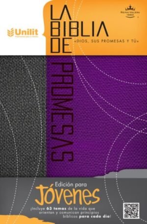 Biblia de Promesas. Edición para jóvenes.