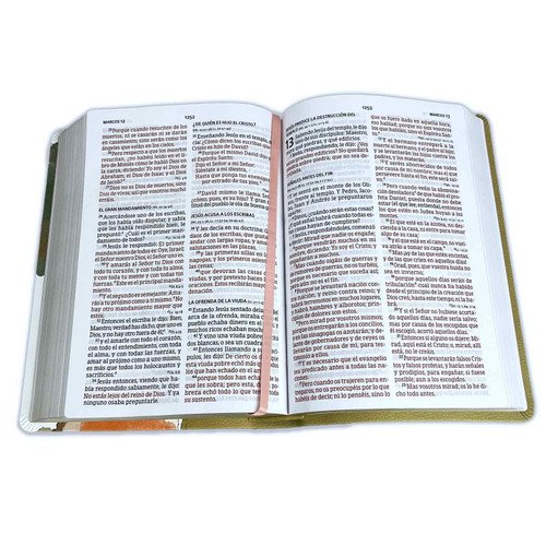 Biblia RVR 1960/Letra Grande/Tamaño Manual/Simil Piel/Multicolor 3 Biblia RVR 1960/Letra Grande/Tamaño Manual/Simil Piel/Multicolor - Image 3