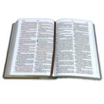 Biblia Letra Grande tamaño manual – imagen 3