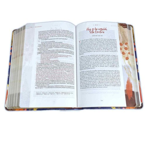 Biblia RVR1960/Centrada En Cristo/Matizada/Simil Piel 2 Biblia RVR1960/Centrada En Cristo/Matizada/Simil Piel - Image 2
