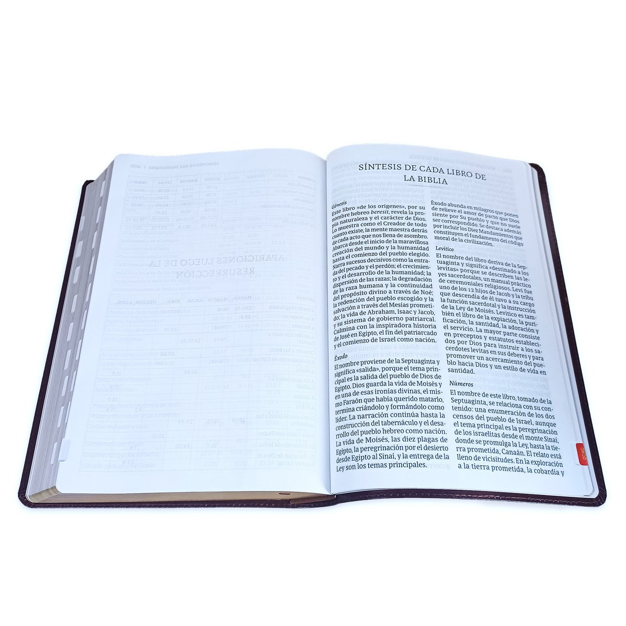 Biblia Letra Súper Gigante RV1960 Café 3 Biblia Letra Súper Gigante RV1960 Café - Image 3