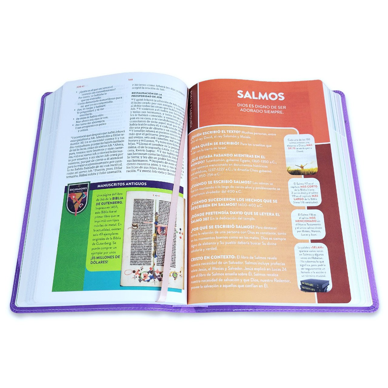Biblia Niños Exploradores RV1960 Lavanda Compás 4 Biblia Niños Exploradores RV1960 Lavanda Compás - Image 4