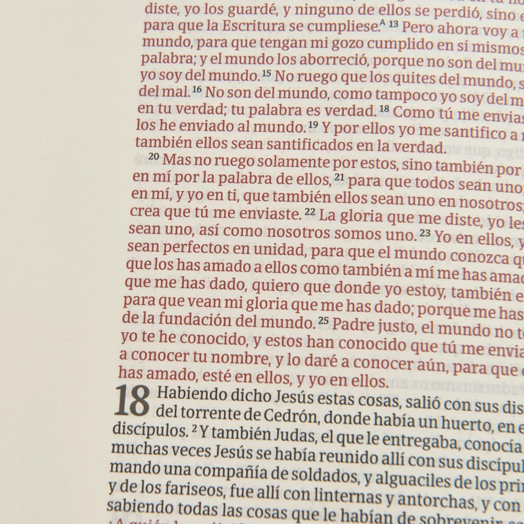 RV60 Biblia de apuntes piel fabricada Mosaico crema y azul/BH 3 RV60 Biblia de apuntes piel fabricada Mosaico crema y azul/BH - Image 3