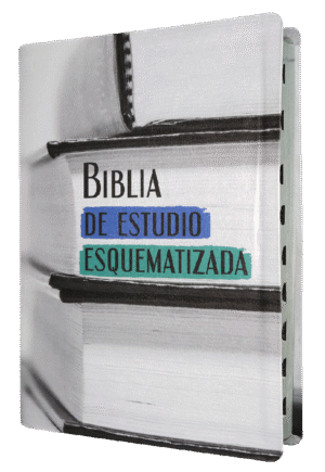 BIBLIA ESQUEMATIZADA