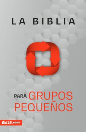 Biblia para grupos pequeños NBV