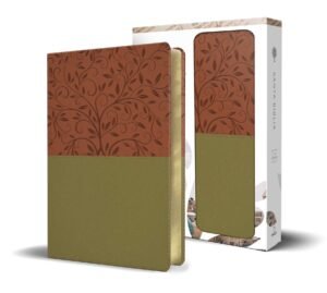 Biblia RVR1960 LG Imitacion Piel Verde-Marron