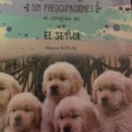 Diario - Cada día sin preocupaciones Libreta para notas – imagen 2