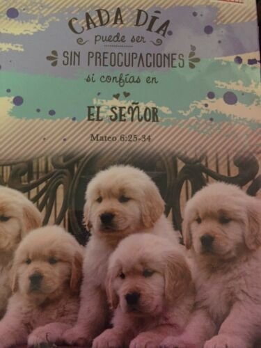 Diario - Cada día sin preocupaciones Libreta para notas 2 Diario - Cada día sin preocupaciones Libreta para notas - Image 2