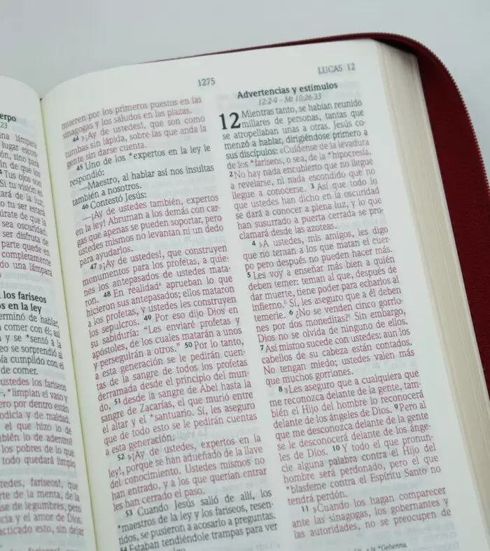 Biblia RVR60 Cuero Italiano Vino 3 Biblia RVR60 Cuero Italiano Vino - Image 3