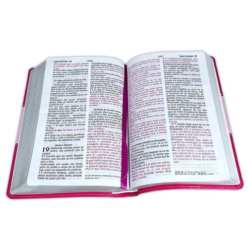 Biblia Letra Grande RV1960 imit. piel duotono rosa 3 Biblia Letra Grande RV1960 imit. piel duotono rosa - Image 3