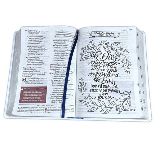 RVR60 Biblia de estudio Ser Mujer 4 RVR60 Biblia de estudio Ser Mujer - Image 4