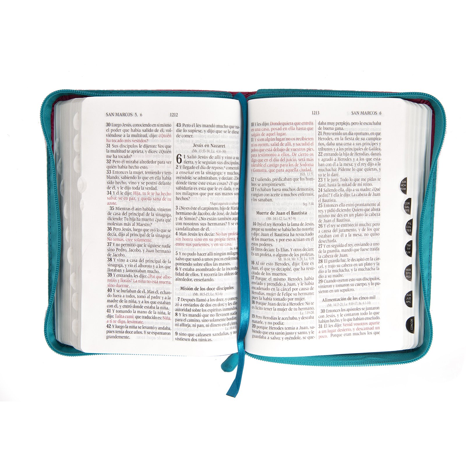 RV60 Biblia 045, fucsia y turquesa 2 RV60 Biblia 045, fucsia y turquesa - Image 2
