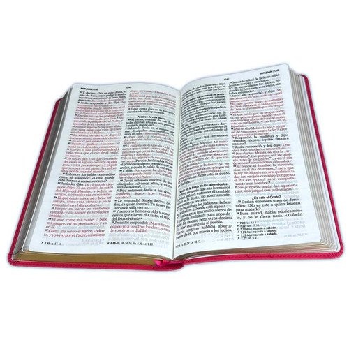 Biblia/RVR1960/Manual 065/LG - 12 Puntos/PJR/Imitacion Piel/Fucsia 2 Biblia/RVR1960/Manual 065/LG - 12 Puntos/PJR/Imitacion Piel/Fucsia - Image 2