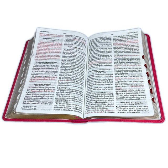 Biblia Letra Grande 12 puntos para Mujer RV1960 fucsia 3 Biblia Letra Grande 12 puntos para Mujer RV1960 fucsia - Image 3
