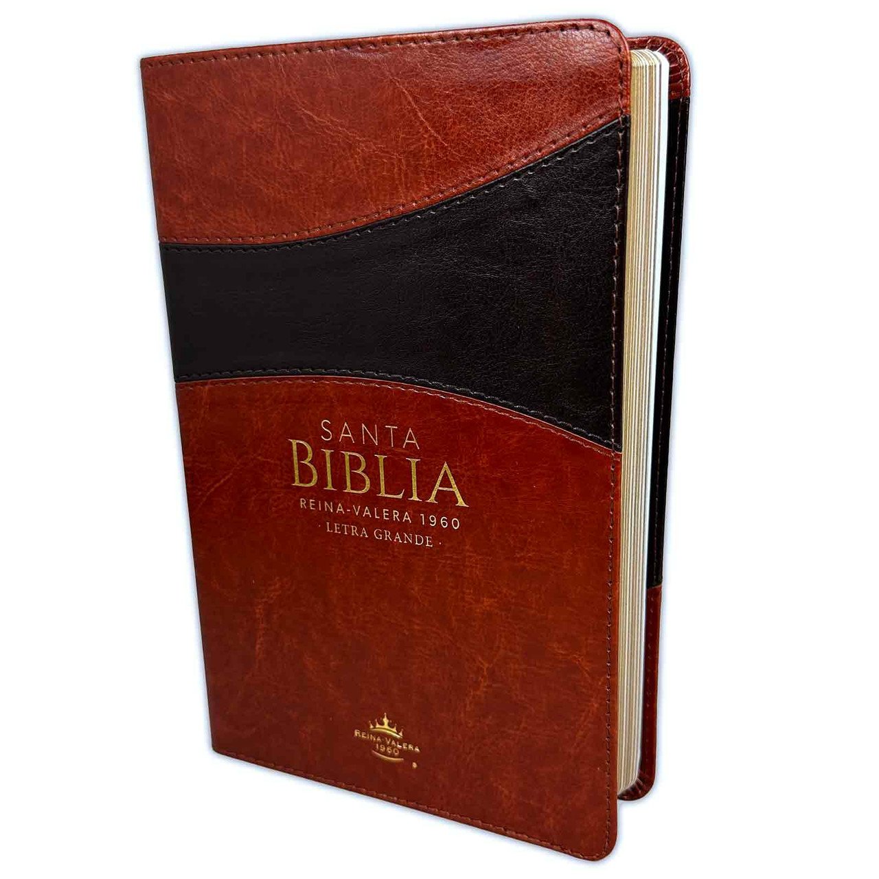 Biblia Letra Grande 12 puntos RV60 Duotono Chocolate y Café 1 Biblia Letra Grande 12 puntos RV60 Duotono Chocolate y Café