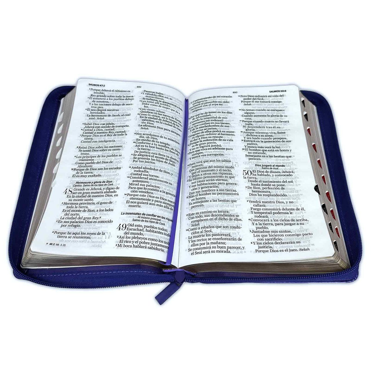 Biblia Letra Grande 12 puntos RV1960 Lila y Fucsia 2 Biblia Letra Grande 12 puntos RV1960 Lila y Fucsia - Image 2