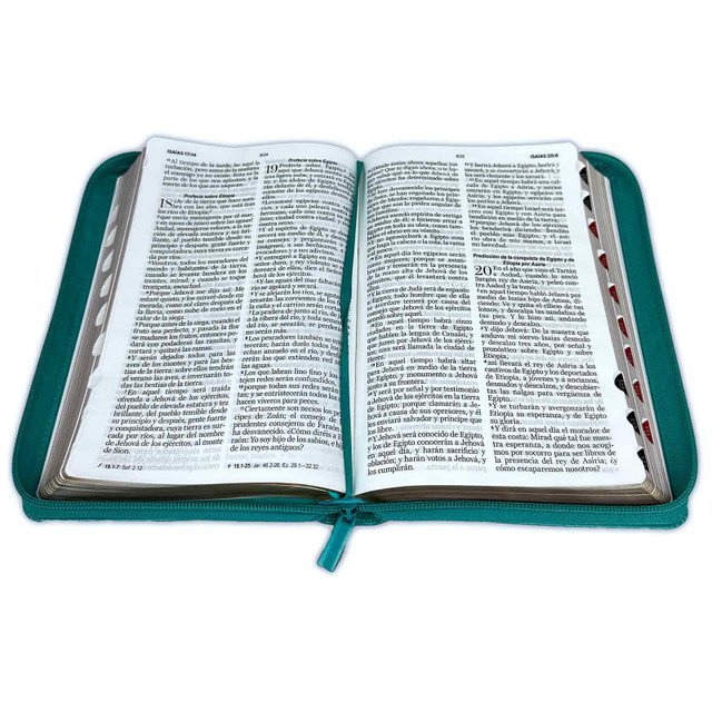 Biblia RVR60 Letra Grande Tamaño Manual Duotone Turquesa Blanco 2 Biblia RVR60 Letra Grande Tamaño Manual Duotone Turquesa Blanco - Image 2