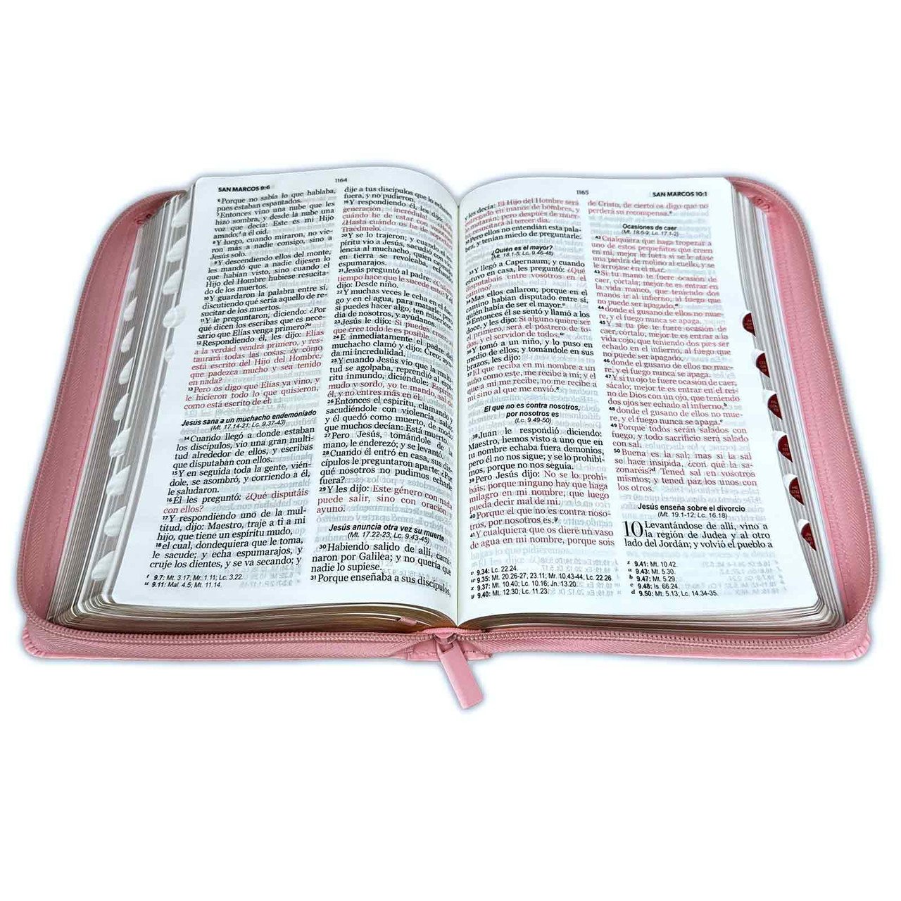 Biblia Letra Grande 12 puntos RV1960 Rosado y Celeste 3 Biblia Letra Grande 12 puntos RV1960 Rosado y Celeste - Image 3