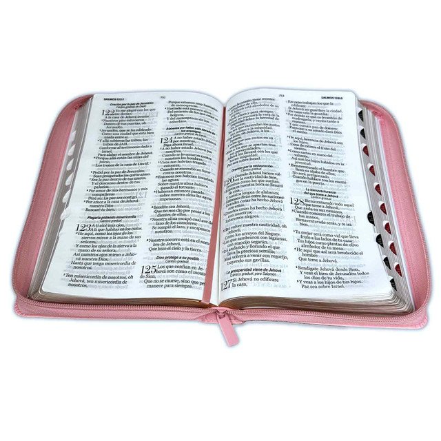 Biblia Letra Grande 12 puntos RV1960 Rosado y Celeste 2 Biblia Letra Grande 12 puntos RV1960 Rosado y Celeste - Image 2