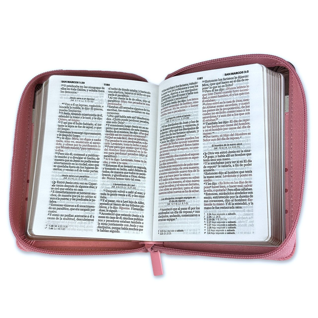 Biblia RVR60 Primor Café/Beige/Rosa con Flores 3 Biblia RVR60 Primor Café/Beige/Rosa con Flores - Image 3
